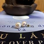 Bông Tai Ngọc Trai CHNT19